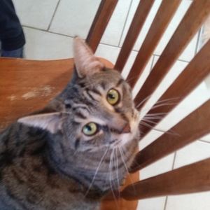 Meet your Posher, Jenny